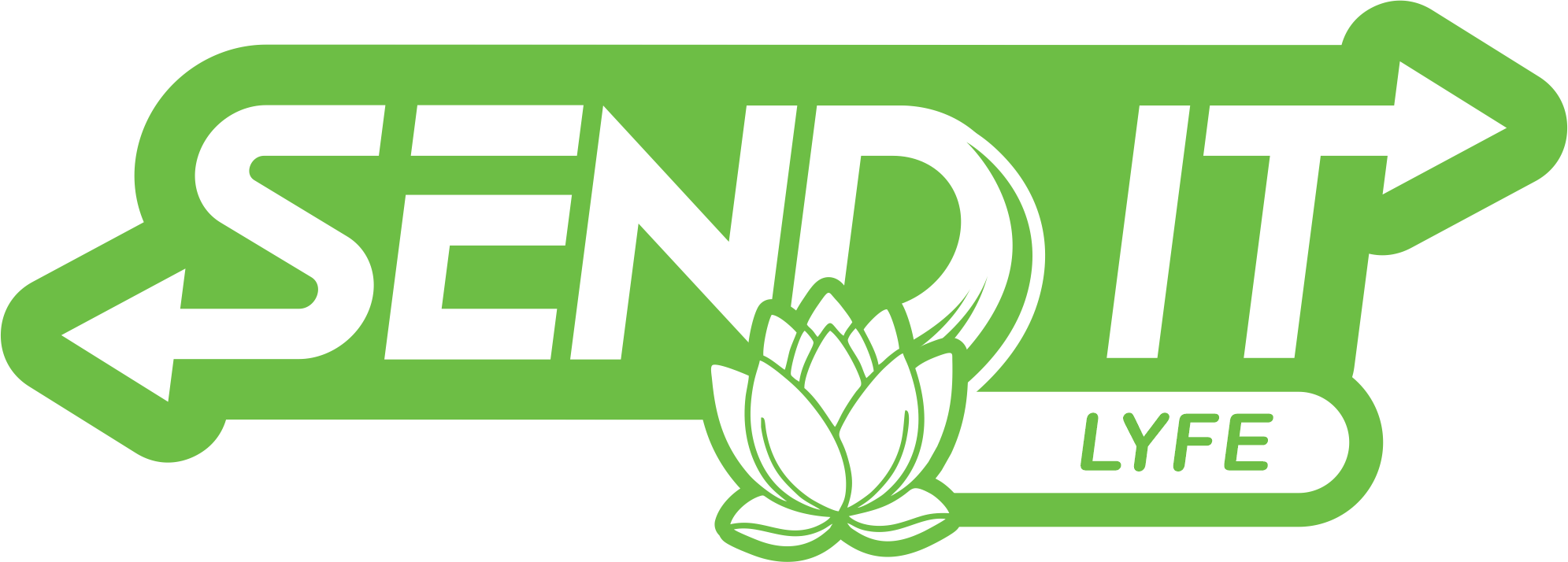 Send It Lyfe logo